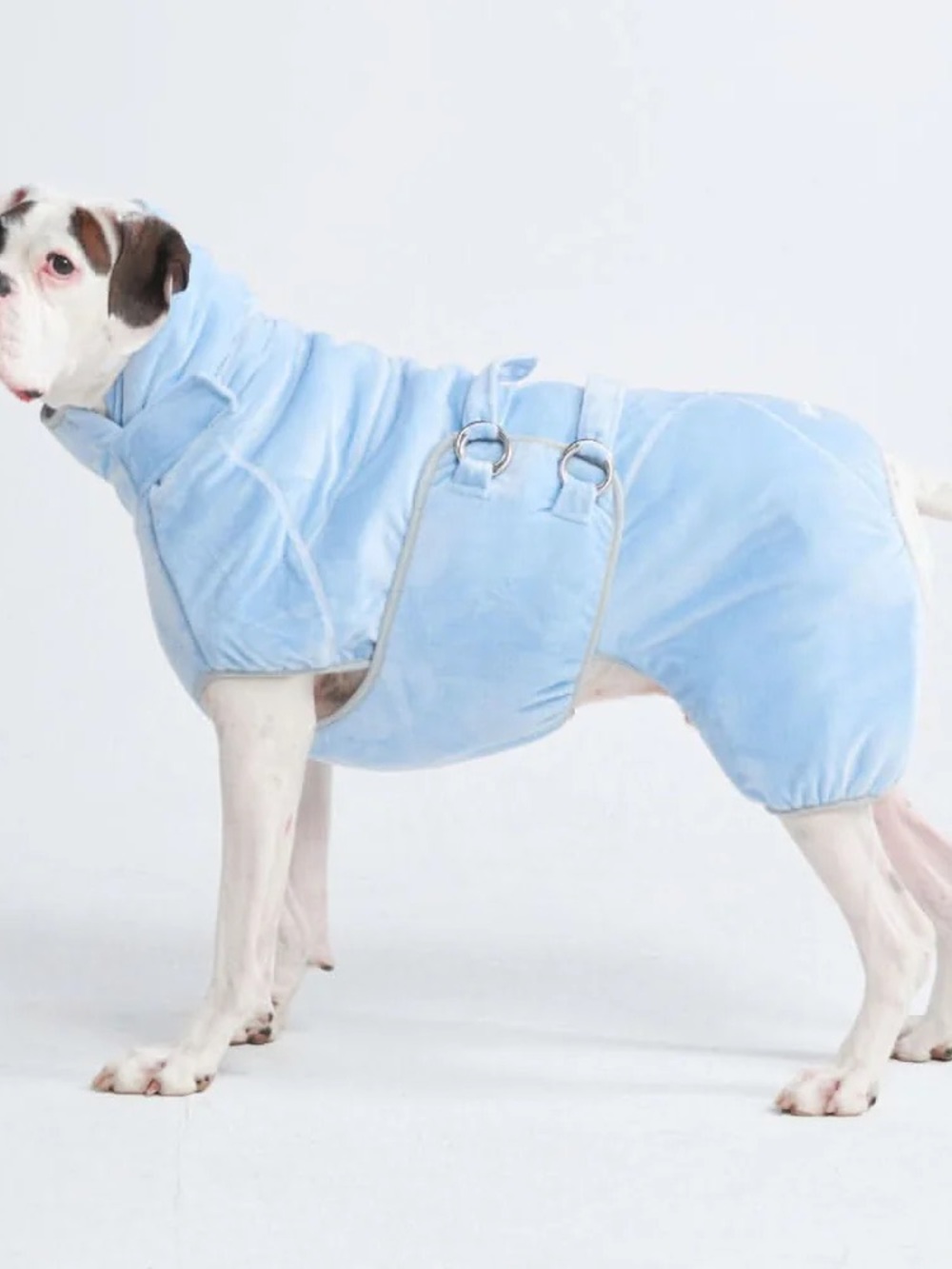 BRAND NEW ✨SPARK PAWS✨ 10 Minute Dry Dog Bathrobe 2XL